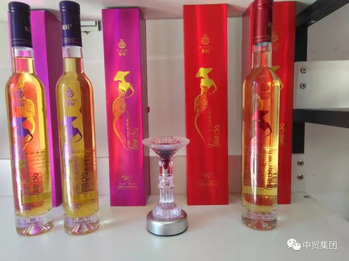 中貿(mào)文化 芬蘭設計 中華孔雀苑國際旅游產(chǎn)品綻放絲綢之路旅游產(chǎn)品展覽會